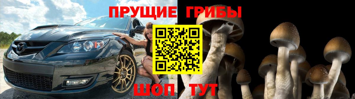 Псилоцибиновые грибы мухоморы  Вход с VPN  цены   Сыктывкар  Псилоцибиновые грибы GOLDEN TEACHER 